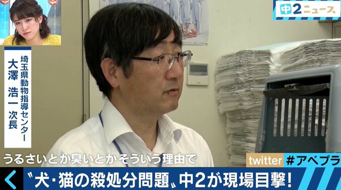 年間５万匹が炭酸ガスや麻酔薬で　人間の勝手な都合で殺処分されていく動物たち 2枚目