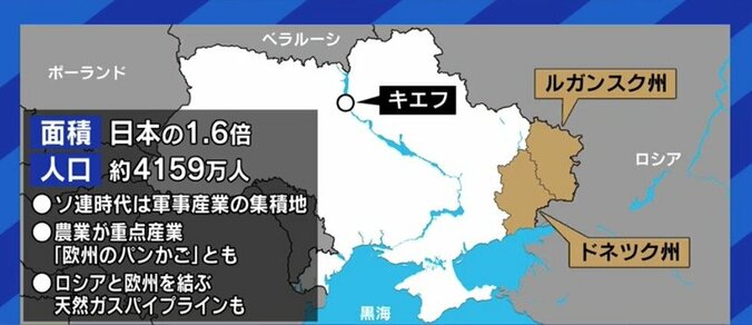 「最も穏当なシナリオは“第2次ミンスク合意”、最も悪いシナリオは“大規模な戦争の発動”」…ロシアによるウクライナ侵攻の可能性、小泉悠氏に聞く（2） 7枚目