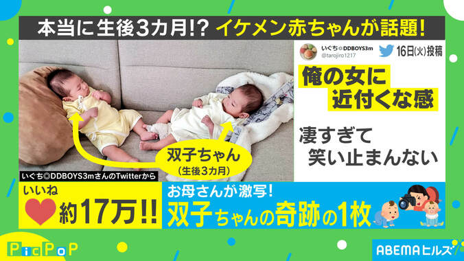 「俺の女に近づくな」イケメンすぎ！ 生後3カ月の双子が見せた“奇跡の一枚”に絶賛の声 1枚目