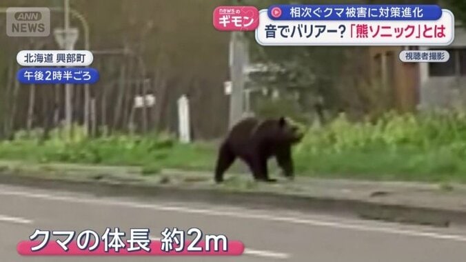 この後、道路脇の茂みへと姿を消した