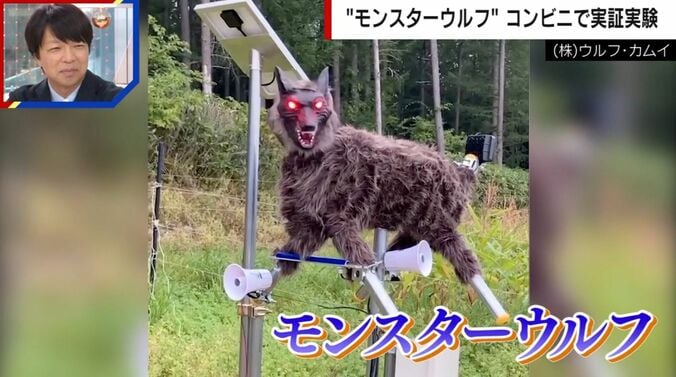 （株）ウルフ・カムイ