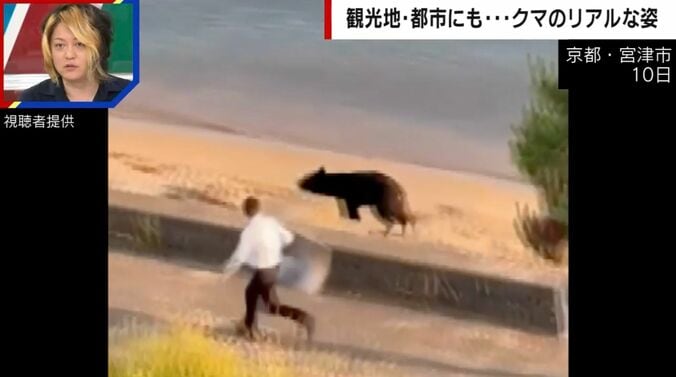 京都・宮津市 10日