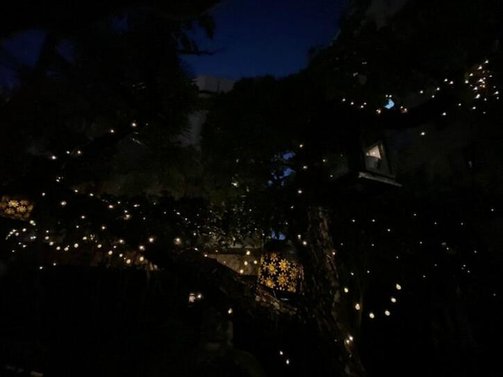  川崎麻世、LEDでライトアップした自宅の庭を公開「テンション上がるよね」 