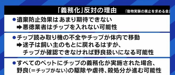 犬猫の殺処分、マイクロチップの埋め込み義務化だけでは抑制できない?背景にある“ペットショップ問題”とは