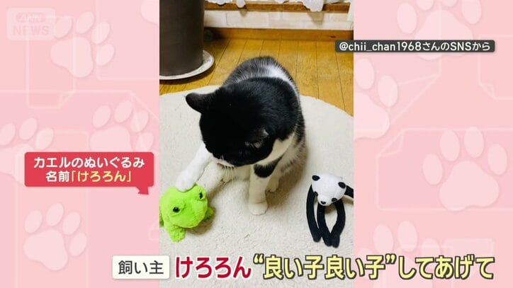 飼い主「けろろん良い子良い子してあげて」