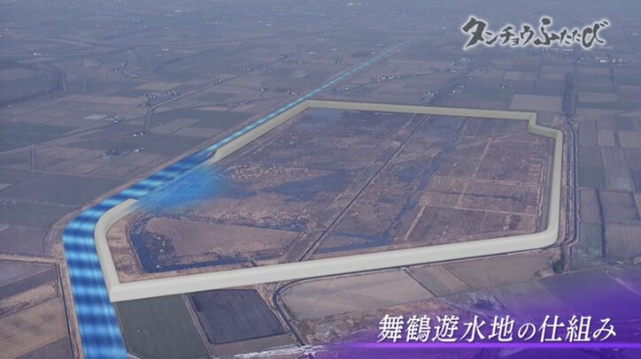 町民からも笑われた運動に起きた“奇跡” 農家の取り組みが、絶滅危惧種のタンチョウを呼び戻した