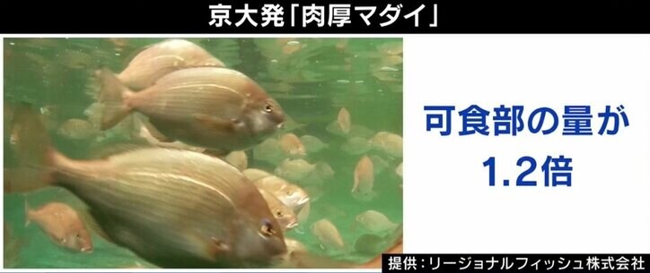 子どもの学力や容姿のデザインが可能に？ 専門家「遺伝子も育ちも大事」