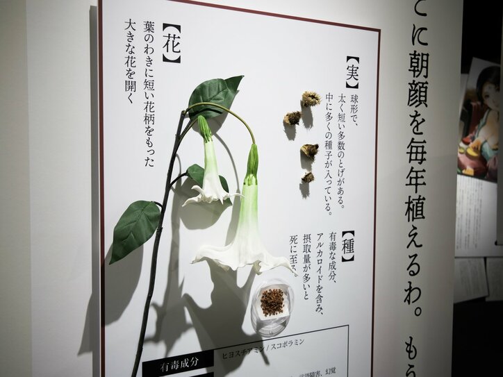 【写真・画像】　8枚目