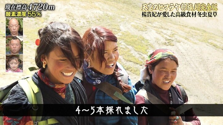 1kgあたり800万円で取引も！ ヒマラヤで採れる“奇妙”な高級食材にナスDが遭遇　