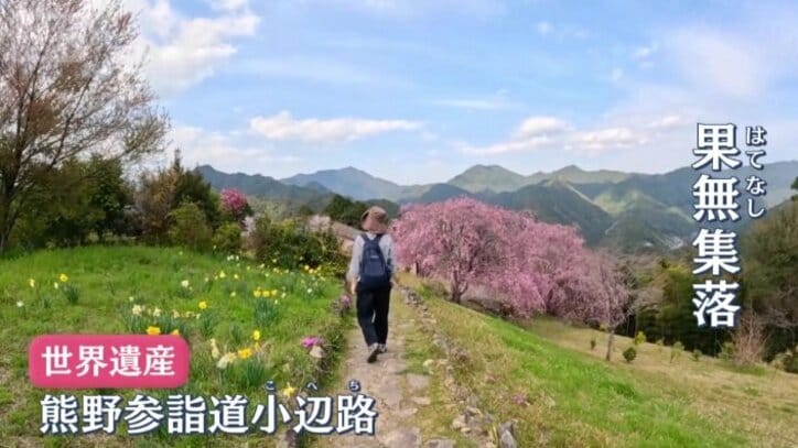 世界遺産の熊野古道小辺路