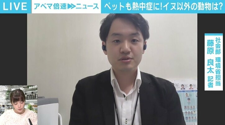 ペットも熱中症になる…重要なのは飼い主の意識 「ペットについて知って、常日頃から健康管理を」