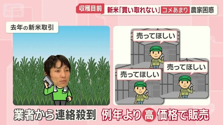 去年