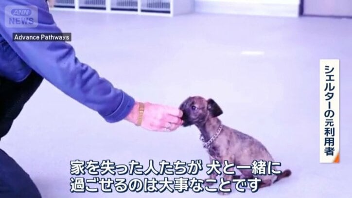 愛犬と一緒に過ごせる