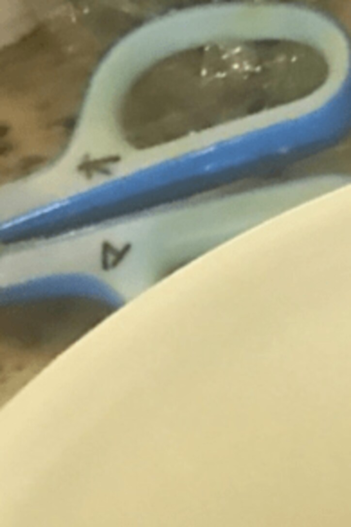 市川海老蔵、亡き父と妻の共通点語る