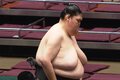「上半身とのギャップが」「癖になるフォルム」185センチ長身巨漢力士の“ほっそり美脚”にファン熱視線