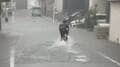 首都圏で記録的大雨　各地で道路の冠水や川の増水　雨漏りで駅ホーム水浸し