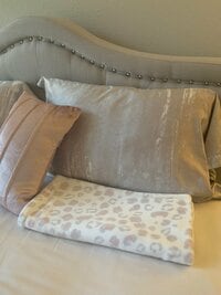 武田久美子『私の枕』