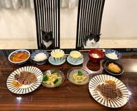 藤あや子『昨日の晩ごはん』