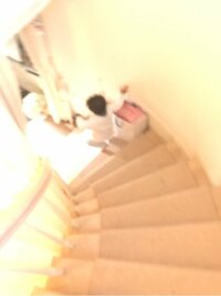 市川海老蔵『今日』