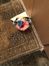 市川海老蔵『麗禾からサンタさんへ』