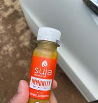 市川團十郎白猿『これから皆んなでランチ』