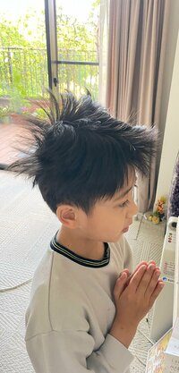 市川海老蔵『おは!』