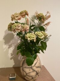 加護亜依『休みなのに。。。』