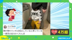 「頭隠して尻隠さずを体現してるw」1歳児の“全力かくれんぼ”に「これは可愛すぎる!」「バレてるぞー! 笑」とほっこり