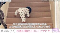 北斗晶、1歳の初孫が自宅で階段上り「おてんばすぎて目が離せない」