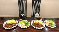  藤あや子、野菜をたくさん使った最高な手料理を公開「天才的」「凄すぎる」の声 