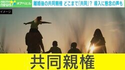 共同親権、導入後は「旅行」「ワクチン接種」「再婚」にも元パートナーの許可必要？ “日常”や“急迫”とそれ以外の境目は？ 専門家「争いが再燃するのでは…」「みんな国民に放り投げられた」