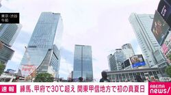 練馬、甲府で30℃超え 関東甲信地方で初の真夏日