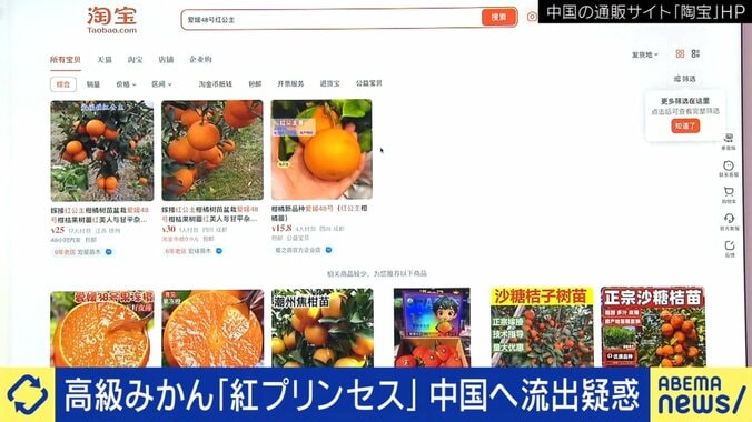 紅プリンセスらしきものが売られている中国サイト（実際の画面）