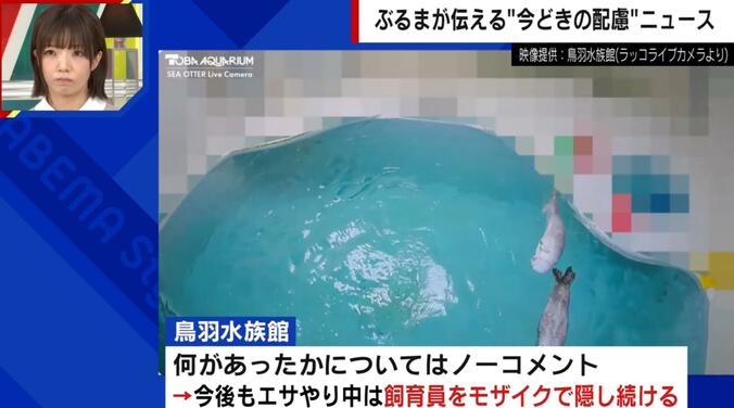 ラッコのライブ配信に突如モザイクが出現