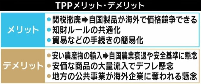 中国の狙いは“人民元”拡大と知財保護？ TPP加入なら専門家「今後は日本のメリットになっていく」 6枚目