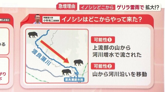 どこからやって来た？