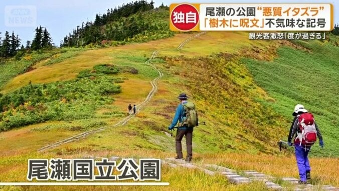 人気の観光地・尾瀬国立公園