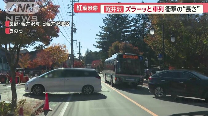 車道と歩道を半分塞ぐように停止