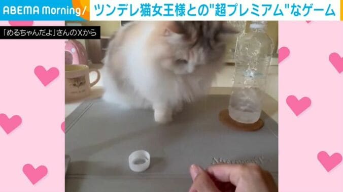めるちゃん