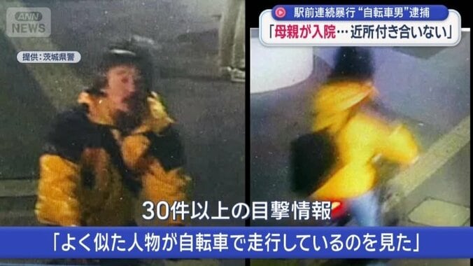30件以上の目撃情報