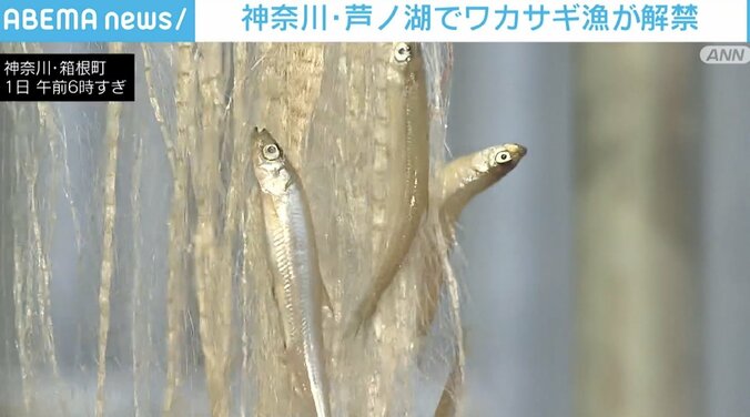 神奈川・芦ノ湖のワカサギ漁がきょう解禁 1枚目