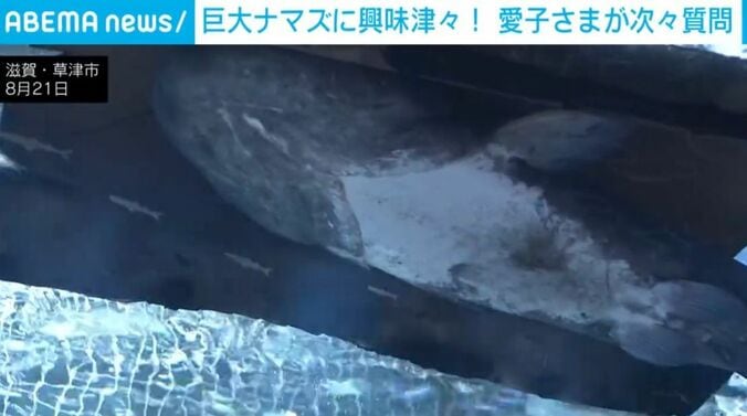 滋賀・草津市