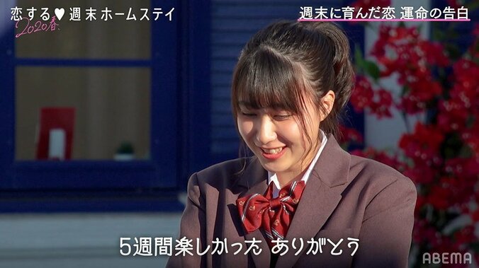 やまげ&るあ、カップル成立！“キス寸前”ラブラブ写真も撮影 『恋ステ』#11 5枚目