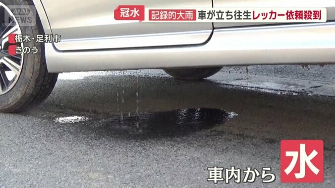 車内から水