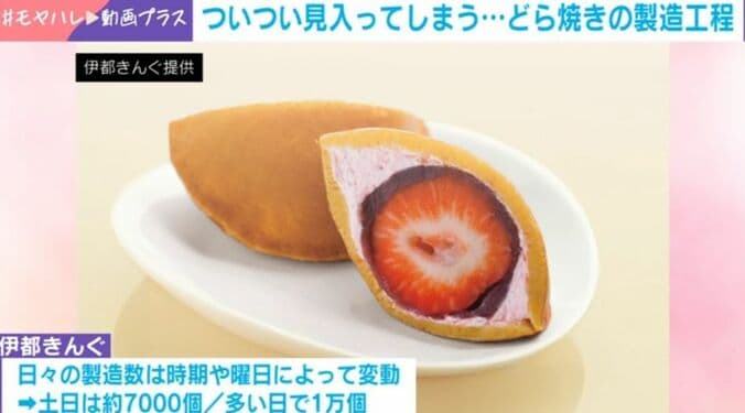 「どらきんぐ生」