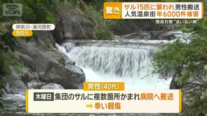 15匹に襲われ男性搬送も