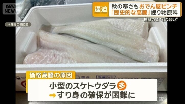 小型のスケトウダラ