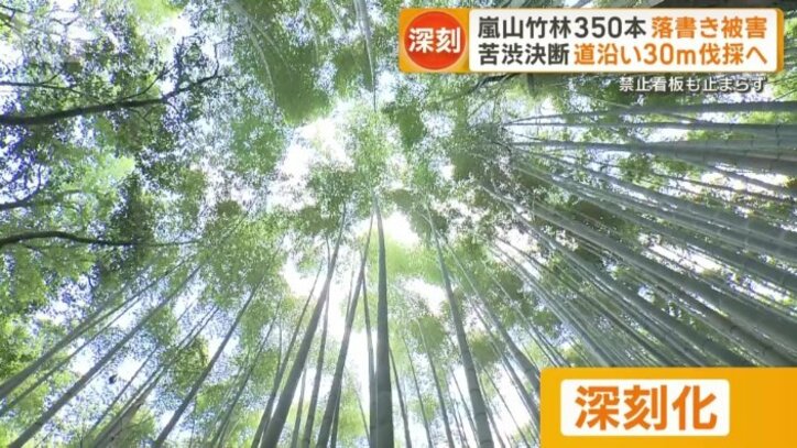 深刻化する問題