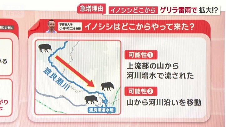 どこからやって来た？