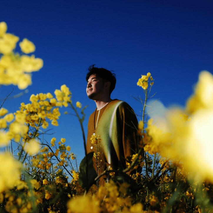 【写真・画像】　2枚目